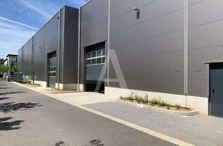 Gewerbeimmobilie mieten in 50170 Kerpen, NEUBAU IN KERPEN | MIETE | PROVISIONSFREI | ANGERMANN NRW