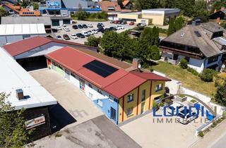 Gewerbeimmobilie kaufen in 79848 Bonndorf, Hallen für Produktion, Lager oder Logistik – inklusive Wohnhaus.