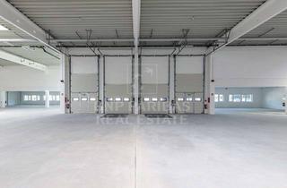 Büro zu mieten in 40670 Meerbusch, Moderne Lagerhalle | optional Bürofläche | Nahe der A44 | Top‑Anbindung | BNPP RE