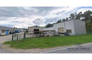 Gewerbeimmobilie kaufen in 16775 Gransee, ++ Produktions- und Lagerhallen ++ ca. 2.240 m² Nfl. ++ Gransee-Dannenwalde