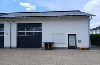 Gewerbeimmobilie mieten in 88477 Schwendi, Moderner Hallenteil zur Miete in 88477 Orsenhausen