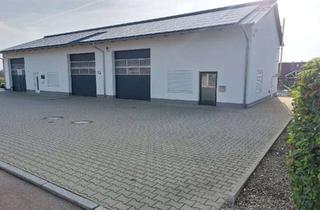 Gewerbeimmobilie mieten in 88477 Schwendi, Moderne Halle zur Miete in 88477 Orsenhausen