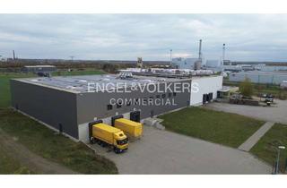 Anlageobjekt in 04509 Delitzsch, Moderne, teilbare Logistikimmobilie