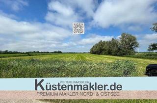 Anlageobjekt in 27639 Mulsum, Unbefristet verpachtete Grünlandfläche in der Gemarkung Mulsum