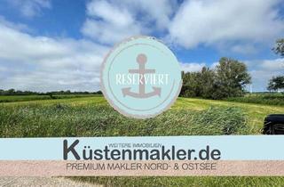 Anlageobjekt in 27639 Mulsum, Unbefristet verpachtete Grünlandfläche in der Gemarkung Mulsum