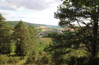 Grundstück zu kaufen in 97944 Boxberg, Sonniges Wohnbaugrundstück mit Blick übers Umpfertal in Boxberg-Schweigern