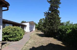 Grundstück zu kaufen in 67454 Haßloch, Baugrundstück / Mehrfamilienhaus
