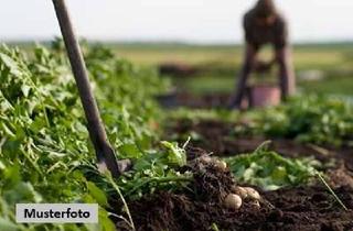 Grundstück zu kaufen in In Der Lanitz, 99518 Bad Sulza, Landwirtschaftsflächen