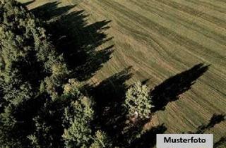 Grundstück zu kaufen in Am Tragberge/Marienberg, 98693 Ilmenau, Land-/Forstwirtschaftsflächen