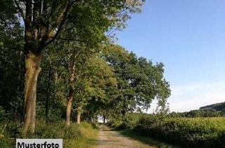 Grundstück zu kaufen in Auf Der Kleinen Hohl, 53489 Sinzig, Waldfläche