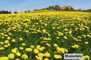 Grundstück zu kaufen in Minderreute., 73312 Geislingen, Wiesenfläche - provisionsfrei