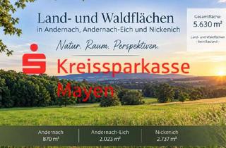 Gewerbeimmobilie kaufen in 56626 Andernach, Land- und Waldflächen in Andernach, Eich und Nickenich