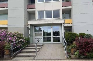 Wohnung kaufen in Am Seeufer, 56235 Ransbach-Baumbach, Modernisierte 1-Zimmer-Eigentumswohnung mit Südbalkon in Ransbach-Baumbach