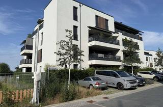 Wohnung kaufen in Kamillenweg, 38446 Reislingen, Exklusive 3-Zimmer-Erdgeschosswohnung im Steimker Gärten Wohnen am Wald in begehrter Lage