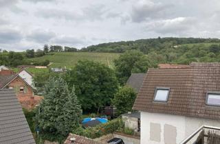 Wohnung mieten in 63755 Alzenau, Zuhause mit 2 Zimmern in Alzenau und Blick auf die Weinberge