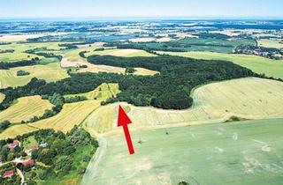 Grundstück zu kaufen in 23974 Neuburg, Grundstücke 23974 Neuburg OT Zarnekow