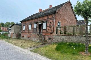 Einfamilienhaus kaufen in 39343 Erxleben, Erxleben - Einfamilienhaus