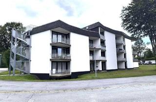 Wohnung kaufen in 94089 Neureichenau, Top-gepflegtes Raumwunder im Dreiländereck - Ideal als Ferienwohnung, Investment oder Erstwohnsitz