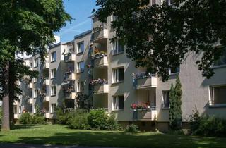 Wohnung mieten in Rabenbergstr. 36, 38444 Rabenberg, Grün, ruhig, schön – Wohnung im Rabenberg mit Balkon