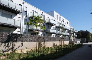 Penthouse mieten in Am Bansapark 16, 63263 Neu-Isenburg, Senioren Wohnen ab 60 Jahren - Attraktive 2-Zimmer-Penthousewohnung