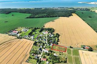 Grundstück zu kaufen in 18311 Ribnitz-Damgarten, Grundstück in 18311 Ribnitz-Damgarten OT Beiershagen, Gutsstraße