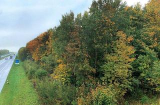 Grundstück zu kaufen in 24983 Handewitt, Waldfläche in 24983 Handewitt OT Ellund, An der A 7