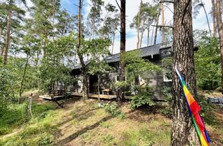 Haus kaufen in 29476 Gusborn, TinyHouse im Wendland-Wald - Tiny Haus als neues Zuhause / Ferienhaus v. 2022/23 - Glasfaser und PV!
