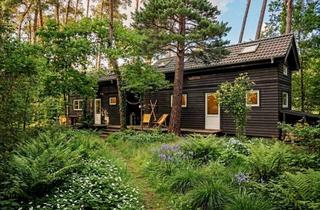 Haus kaufen in 29476 Gusborn, TinyHouse im Wendland-Wald - Tiny Haus als neues Zuhause / Ferienhaus v. 2022/23 - Glasfaser und PV!