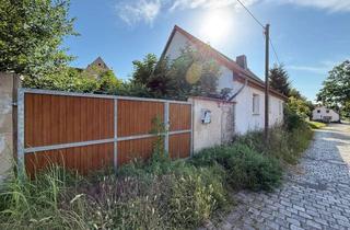Haus kaufen in 06333 Hettstedt, Sanierungsobjekt mit Potenzial auf eingefriedetem Grundstück