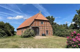 Haus kaufen in 19273 Neuhaus, Kleinod: hochwertig ausgebauter Resthof auf Traumgrundstück an der Elbe