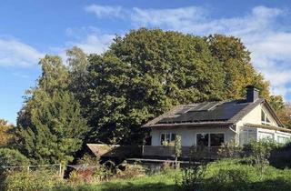 Einfamilienhaus kaufen in 65719 Hofheim am Taunus, Freistehendes Einfamilienhaus mit großem Naturgrundstück in Hofheim-Wildsachsen