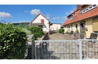 Haus kaufen in 37176 Nörten-Hardenberg, Hofstelle: Tolles 2-3 Familienhaus mit tollem Ausblick zur Burg Hardenberg & 11.100m² Grundstück