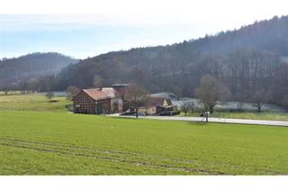 Haus kaufen in 31084 Freden, Verkauf nach Gebot: Hofstelle mit bis zu 6ha Land/Pferdehaltung/Hofcafe´/Mühlenkomplex/2-3WE-u.v.m.