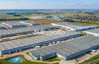 Gewerbeimmobilie mieten in 65239 Hochheim, ! Erstbezug eines hochwertige Neubau-Logistikhalle in bester Flughafennähe ☆ ESG-konform !