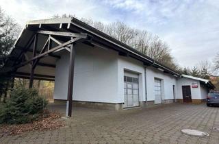 Gewerbeimmobilie kaufen in 04746 Hartha, Vielseitig nutzbare Lagerhalle bei Waldheim