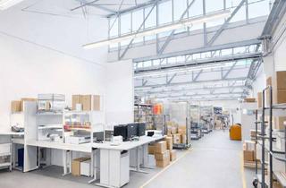 Büro zu mieten in Industriestraße, 65366 Geisenheim, .100 m² Halle + Büro in Geisenheim – beheizt, klimatisiert, mit PV