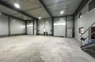 Gewerbeimmobilie mieten in Grenzstraße 14, 06112 Freiimfelde, Grenzstraße 14: Neubau von 8 Lager- und Produktionshallen in bester Lage