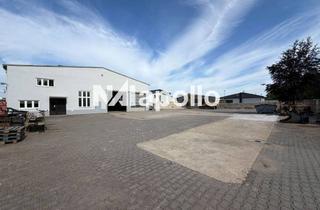 Gewerbeimmobilie mieten in 63456 Hanau, Im Alleinauftrag! | 500m² Halle | 1.500m² Freifläche | 2 ebenerdige Tore