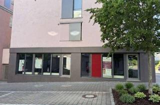 Anlageobjekt in 78467 Konstanz, Sichtbare Gewerbefläche an stark frequentierter Einfahrtsstraße