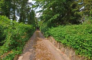Grundstück zu kaufen in 14823 Niemegk, Baugrundstück in ruhiger Lage