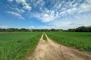 Grundstück zu kaufen in 85232 Bergkirchen, Landwirtschaftliches Grundstück am Ortsrand von Günding (Gde. Bergkirchen) zu verkaufen!