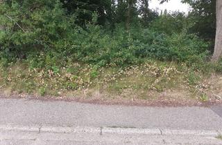 Grundstück zu kaufen in Heidvierthweg 9a, 25712 Hochdonn, Eingewachsenes Grundstück in Hochdonn!