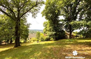 Grundstück zu kaufen in 63911 Klingenberg, BERK Immobilien - großzügiges Grundstück in idyllischer Waldrandlage mit herrlichem Panoramablick in