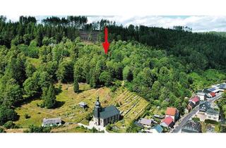 Grundstück zu kaufen in Flur 4, Flurstück 344, 98746 Katzhütte, Landwirtschaftsfläche in Hanglage