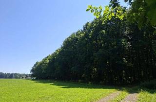Immobilie kaufen in 83137 Schonstett, Fast ein Mustermischwald, gut erreichbarer schöner gesunder Wald im Chiemgau. Für Naturliebhaber!