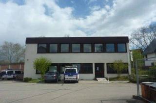 Immobilie kaufen in 89597 Munderkingen, Gewerbeareal in Munderkingen