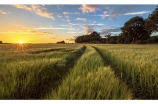 Gewerbeimmobilie kaufen in 89350 Dürrlauingen, Landwirtschaftliche Fläche, Ackerland