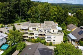 Wohnung kaufen in 69251 Gaiberg, Tolle, modernisierte 2-Zimmer-Wohnung in Traumlage von Gaiberg