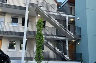 Wohnung mieten in Schafstraße, 64579 Gernsheim, Stilvoll wohnen: 2-Zimmer mit Parkett, Klima & Walk-in-Dusche
