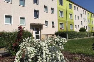Wohnung mieten in Franz-Schubert-Straße 1c, 01809 Heidenau, Hell und Freundlich! 2-RW mit praktischen Schnitt in ruhiger Seitenstraße!